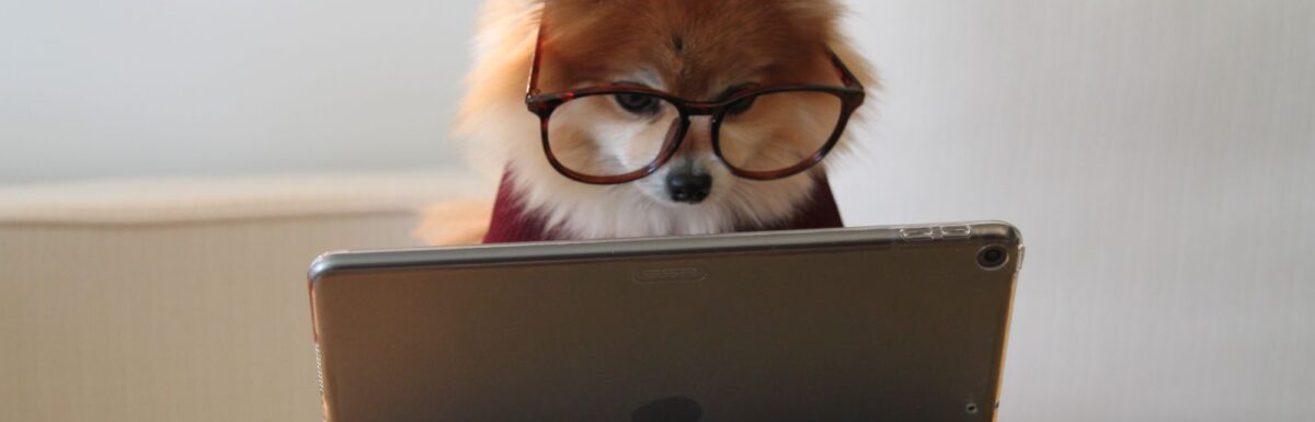 Olcsó prémium honlap